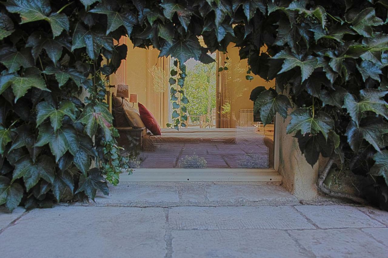 Le Moulin De Picaud Bed & Breakfast Grans Dış mekan fotoğraf
